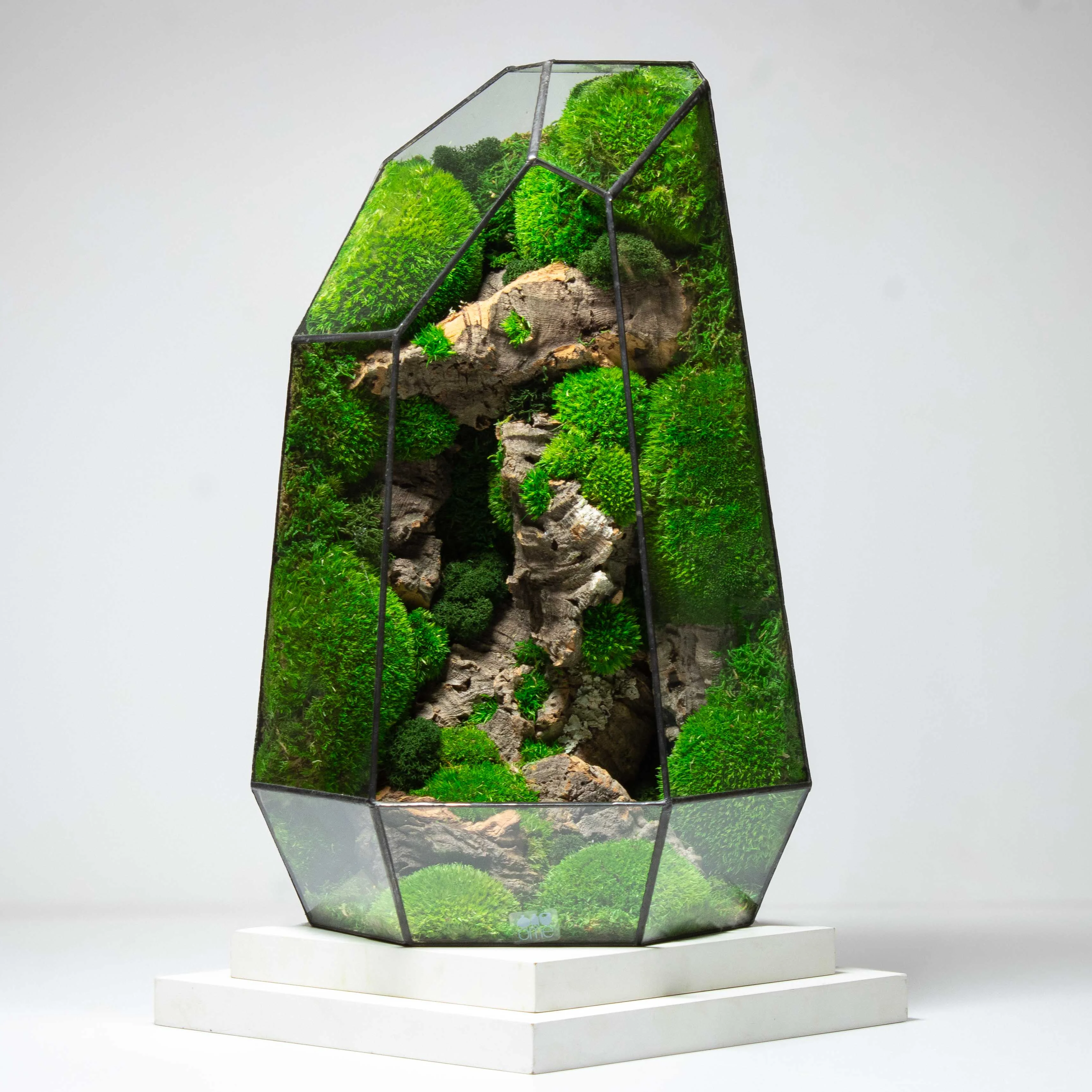 Moss Art - International